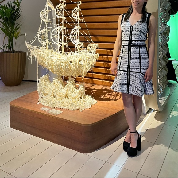 NEW NWT REBECCA TAYLOR "RAFFIA TWEED" BLACK & CREAM DRESS - Picture 3 of 3